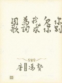 因为我欠你太多歌词求你别离开我