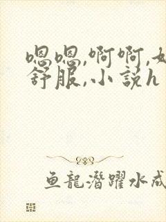 嗯嗯,啊啊,好舒服,小说h