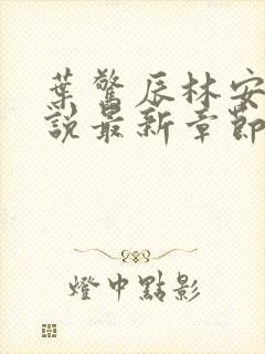 叶惊辰林安玥小说最新章节更新内容