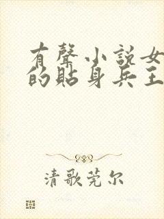 有声小说女总裁的贴身兵王