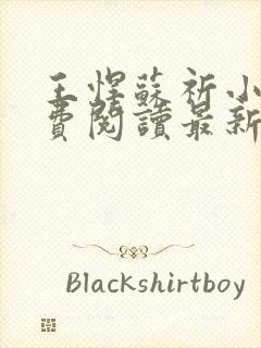 王悍苏祈小说免费阅读最新章节无弹窗