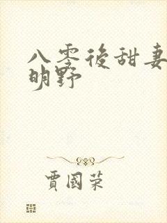 八零后甜妻灿若明野