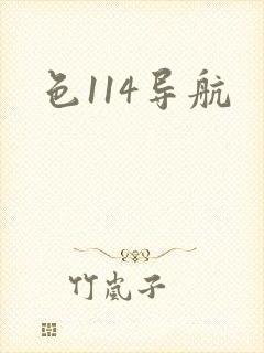 色114导航