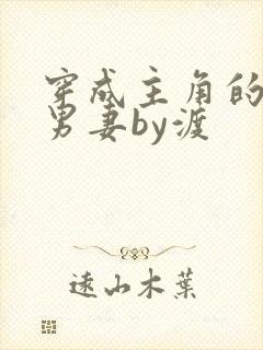 穿成主角的炮灰男妻by渡