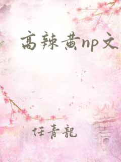 高辣黄np文