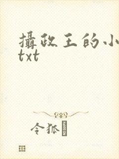 摄政王的小闲妻txt