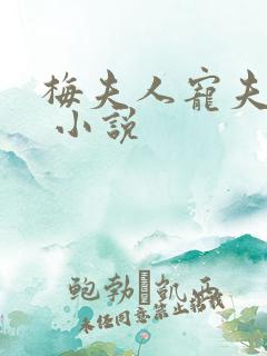 梅夫人宠夫日常 小说