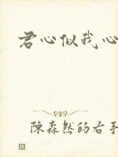 君心似我心短剧