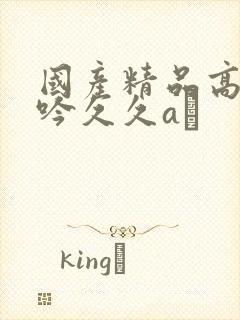 国产精品高潮呻吟久久aγ