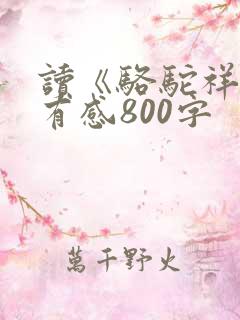 读《骆驼祥子》有感800字