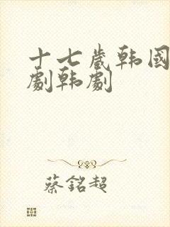 十七岁韩国电视剧韩剧