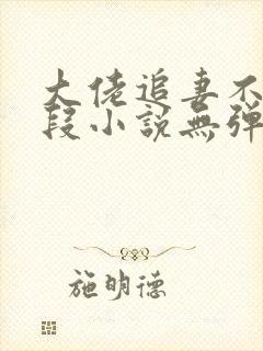 大佬追妻不择手段小说无弹窗最新章节