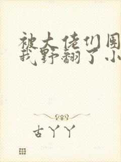 被大佬们团宠后我野翻了小