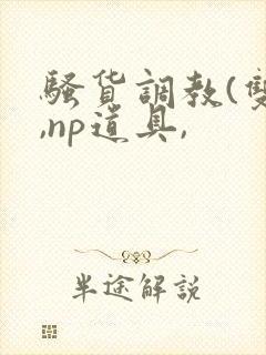 骚货调教(双性,np道具,