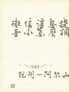 微信消息提示声音小怎么调大声