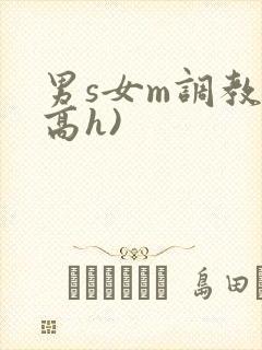 男s女m调教(高h)
