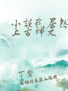 小说我居然认得上古神文