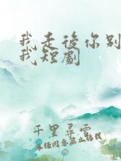 我走后你别再想我短剧