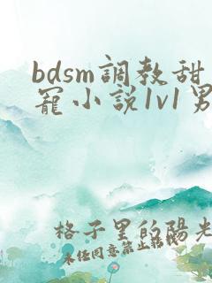 bdsm调教甜宠小说1v1男女