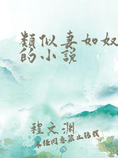 类似妻如奴琳涛的小说