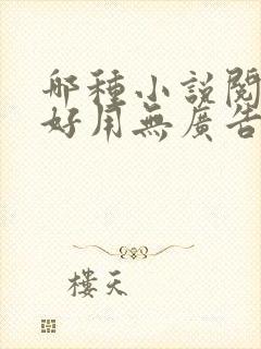 哪种小说阅读器好用无广告的