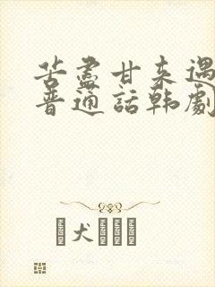 苦尽甘来遇见你普通话韩剧免费观看