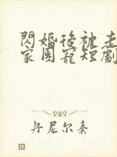 闪婚后被老公全家团宠短剧大结局