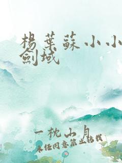 杨叶苏小小无敌剑域