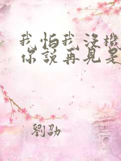 我怕我没机会跟你说再见是什么歌