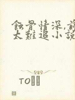 蚀骨情深,前妻太难追小说完整版