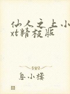 仙人之上小说txt精校版