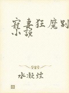 宠妻狂魔别太坏小说