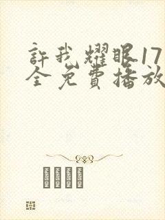 许我耀眼17集全免费播放