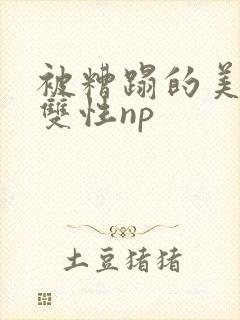 被糟蹋的美人(双性np