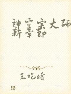 神霄宗大师兄最新章节