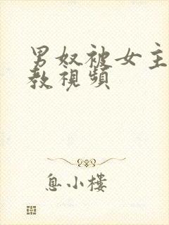 男奴被女主人调教视频