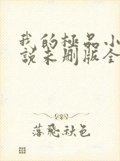 我的极品小姨小说未删版全集