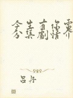 今生有你电视剧分集剧情介绍