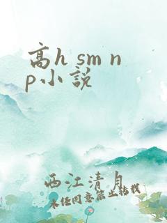 高h sm np小说