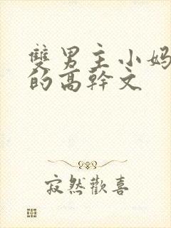 双男主小妈文学的高干文