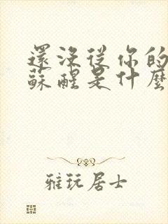 还没从你的梦里苏醒是什么歌