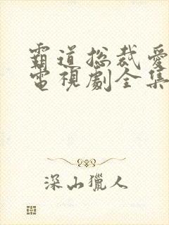 霸道总裁爱上我电视剧全集免费观看