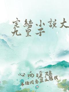 完结小说大夏国九皇子