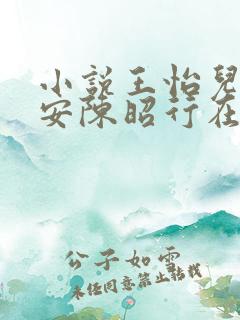 小说王怡儿陈季安陈昭行在线阅读