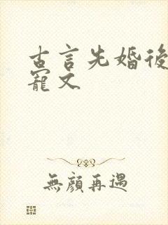 古言先婚后爱甜宠文