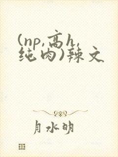 (np,高h,纯肉)辣文