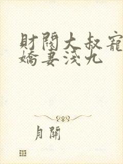 财阀大叔宠坏小娇妻浅九