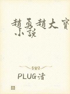 赵勇赵大宝苏媚 小说