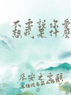 不要说你爱我你想我是什么歌名