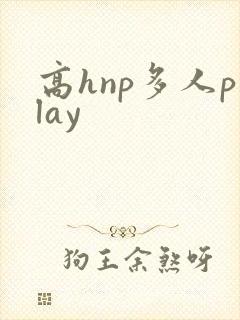高hnp多人play